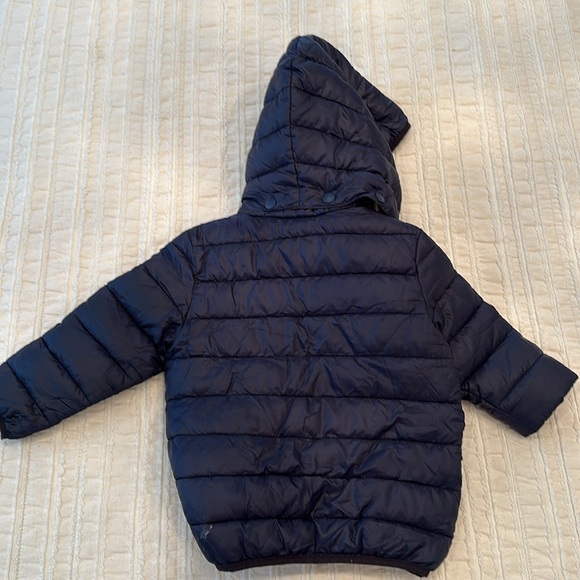 Molo Blue and Brown Puffer Jacket with Hood - Picture 4 of 4